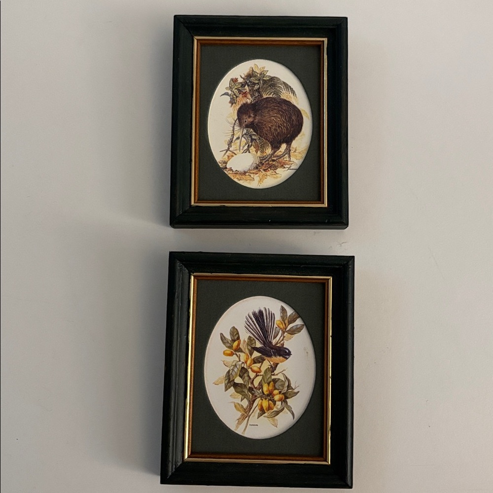 Set of Two Framed Native Birds of New Zealand - Picture 5 of 7
